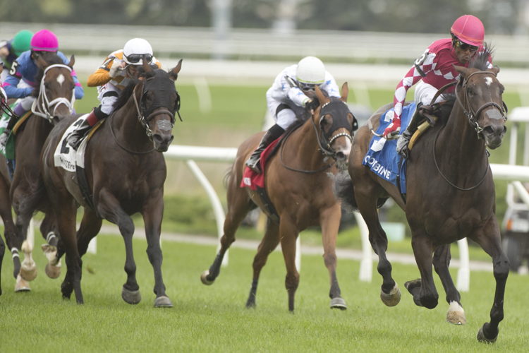 Conman and jockey Patrick Husbands winning the Hamilton Stakes on August 6, 2023 at Woodbine (Michael Burns Photo)