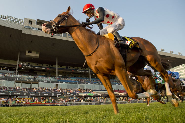 Win for the Money and jockey Patrick Husbands winning the Rogers Woodbine Mile (G1) on September 14, 2024 at Woodbine (Michael Burns Photo) 