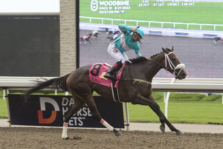 Moira and jockey Rafael Hernandez winning the 163rd Queen's Plate at Woodbine (Michael Burns Photo)