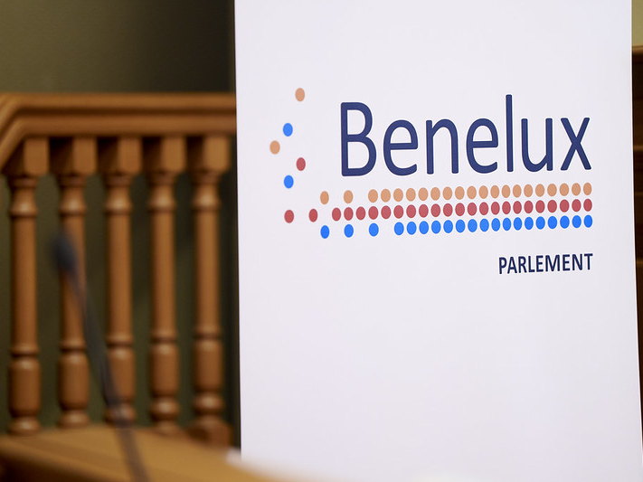 Artificiële intelligentie – plenaire zitting 21 en 22 maart 2025