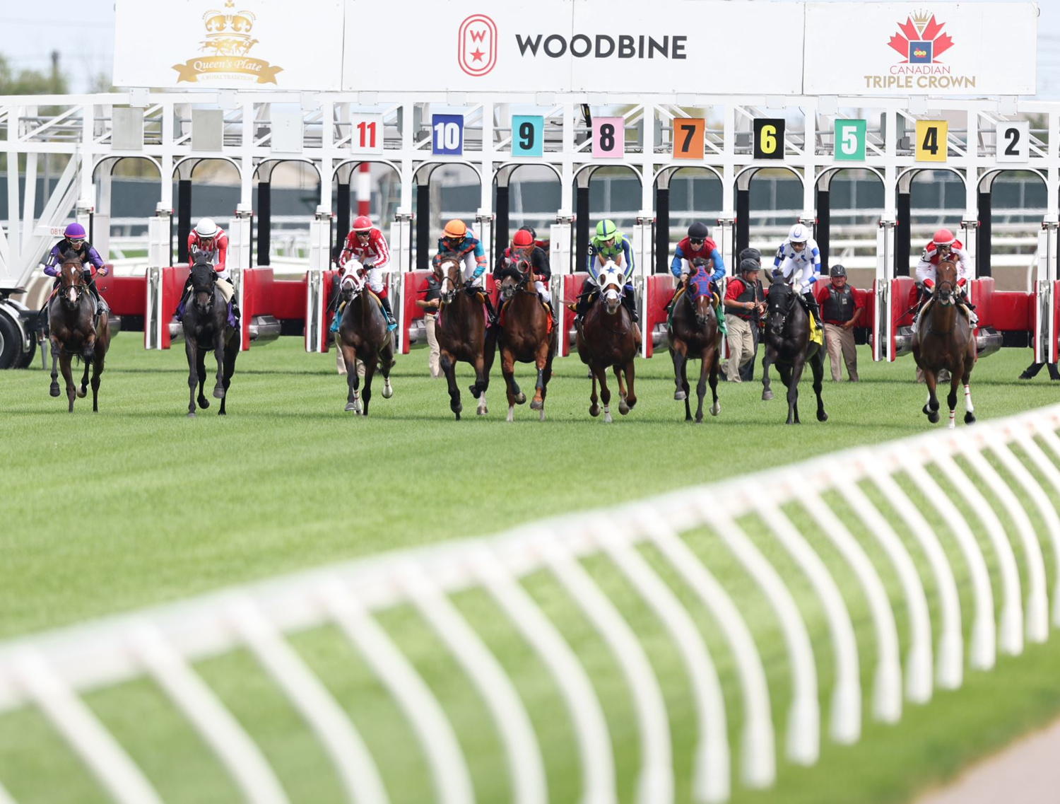 The 2022 Woodbine Thoroughbred meet established a new record all-sources handle of $621 million. (Michael Burns Photo)