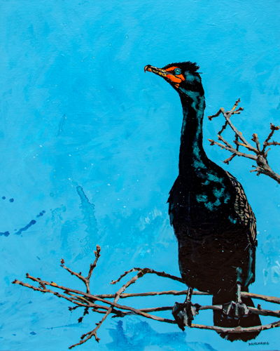 Bryan Dahlvang Cormorant