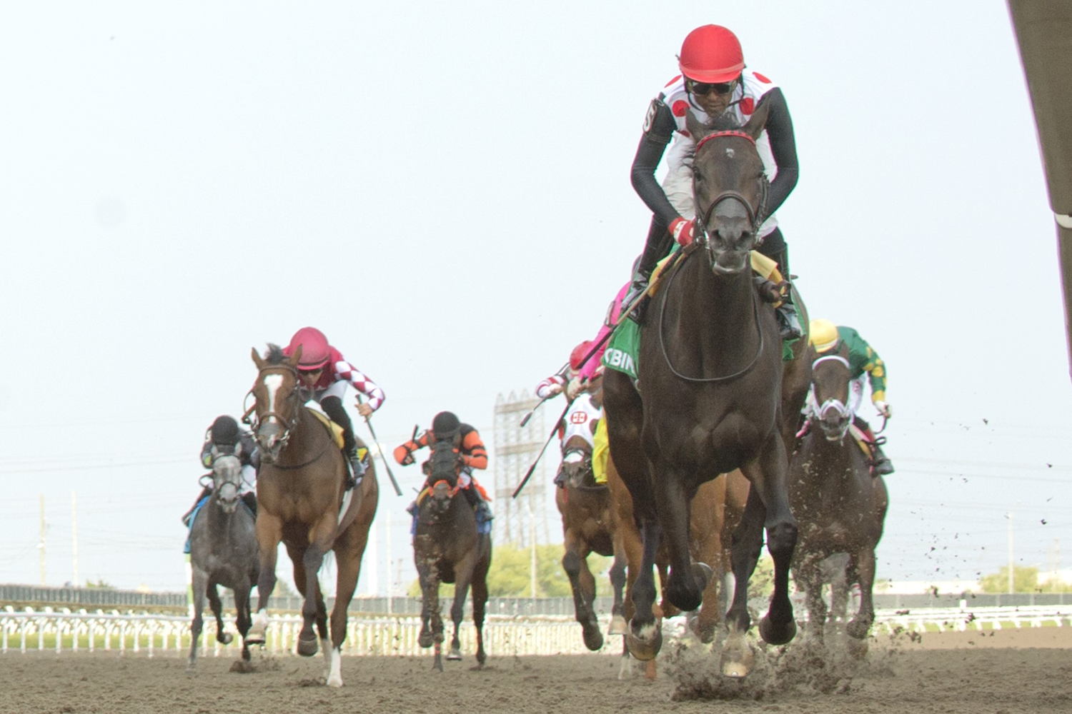 Ticker Tape Home and jockey Patrick Husbands winning the Fury Stakes on June 10, 2023 at Woodbine (Michael Burns Photo)