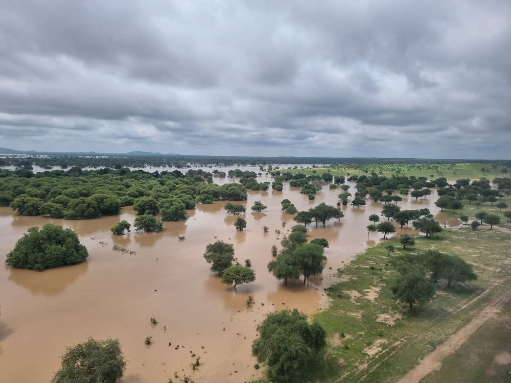 Copyright: MSF Countries: Chad Date taken / Date Recorded: 16 August, 2024 Caption / Description: Massive flooding in eastern Chad has decimated the town of Koukou, thousands are now stranded with inadequate food, shelter or drinking water