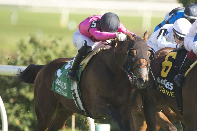 Mi Bago and jockey Sahin Civaci winning the bet365 Algonquin Stakes on October 5, 2024 at Woodbine (Michael Burns Photo)
