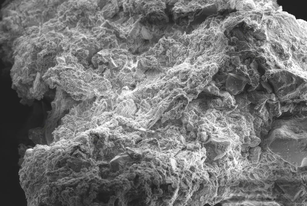 SEM_Courtesy of IMO-IMOMAC UHasselt