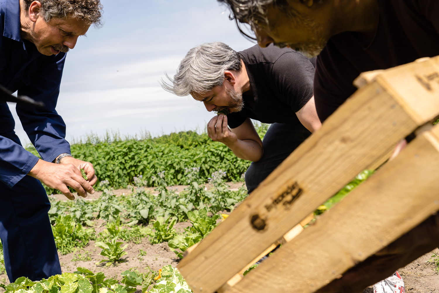 Henk Kerkers (Bijzonder Brabants) accueille les grands chefs Soenil Bahadoer et Glen Remaekers sur son terrain - ©MooibelichtFotografie