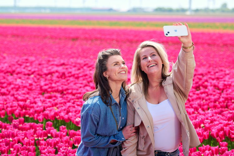 Tulpen in Flevoland, ©David Stegenga
