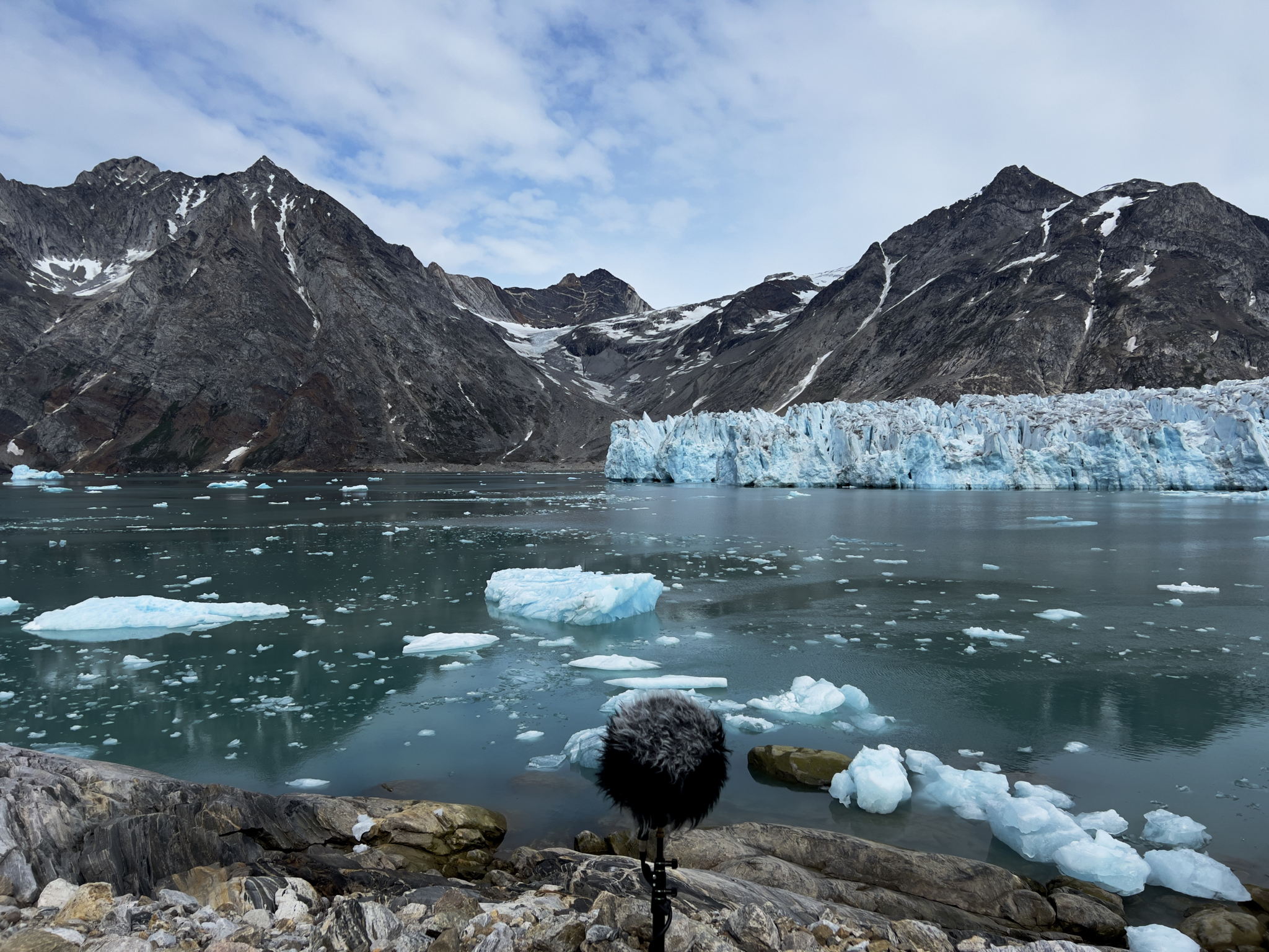El equipo Sennheiser de doble lado medio captó el sonido del parto a distancia (Fotografía cortesía de Thomas Rex Beverly)