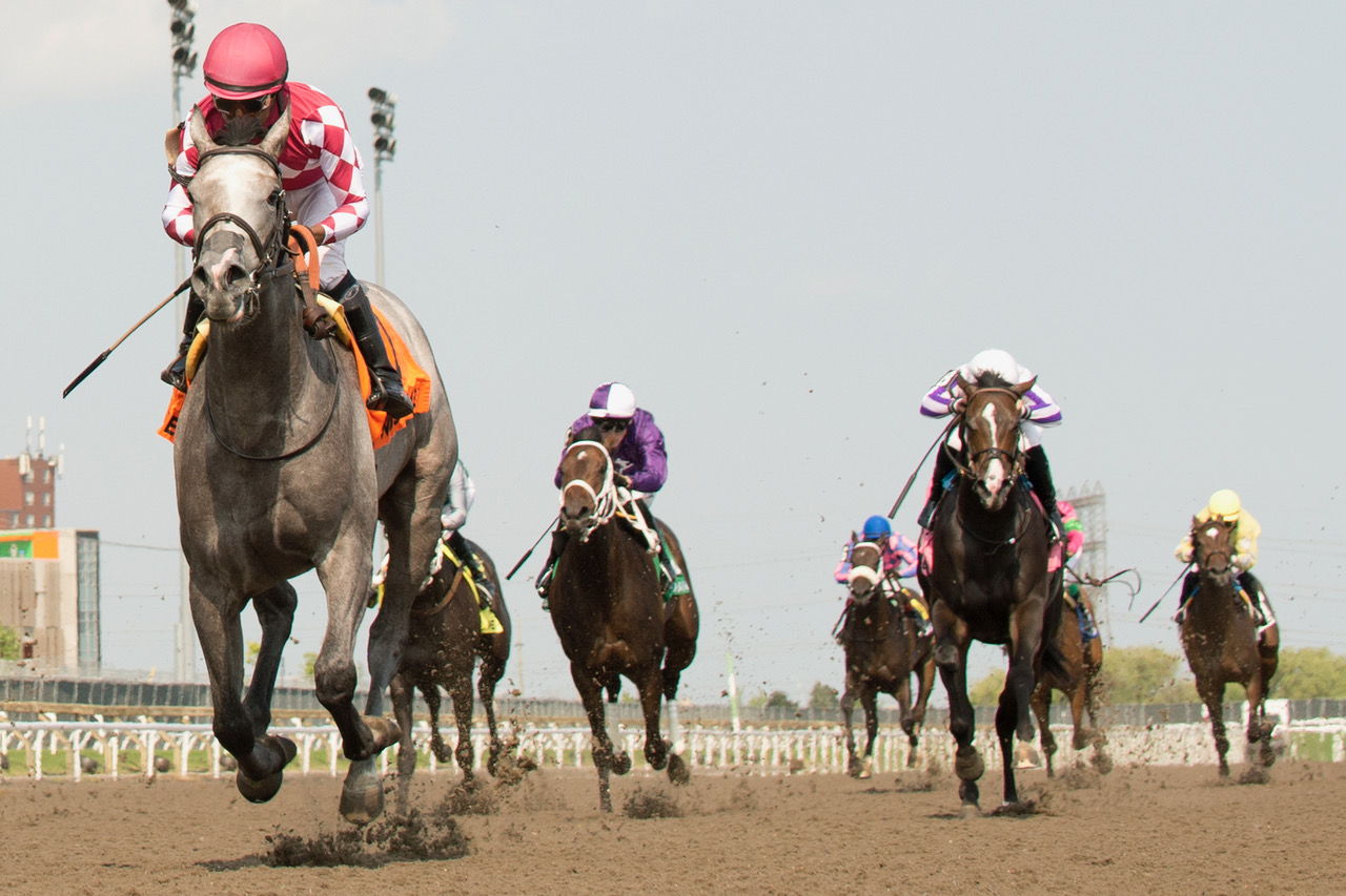 Bullet and jockey Patrick Husbands winning the My Dear Stakes on July 13, 2024 at Woodbine (Michael Burns Photo)