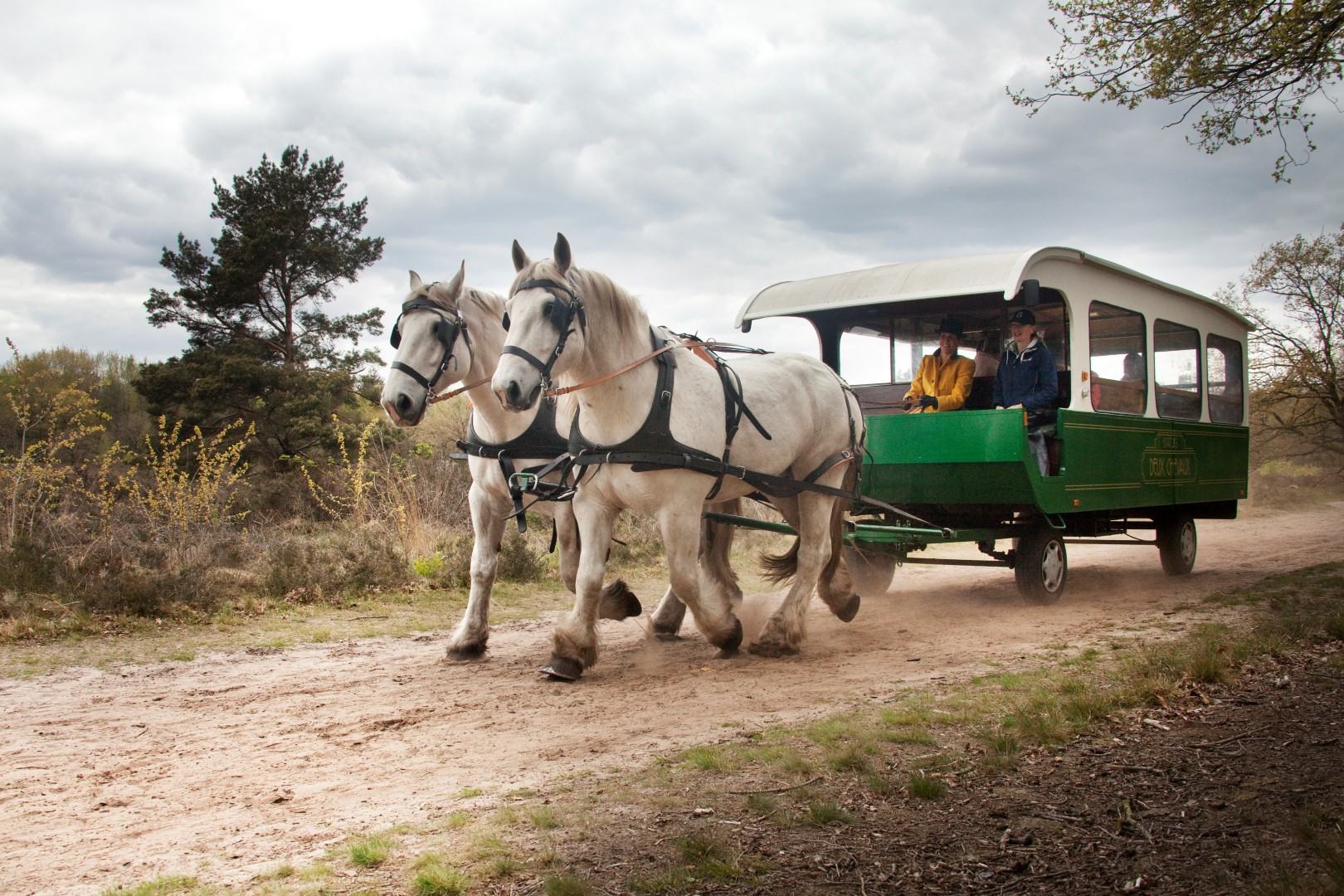 Landal Het Land van Bartje Deux Cheveaux