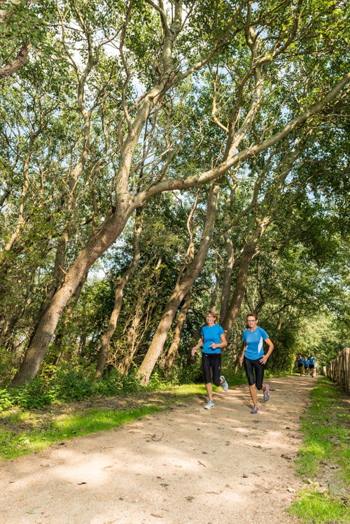 Duinbossen De Haan - © Agentschap voor Natuur en Bos