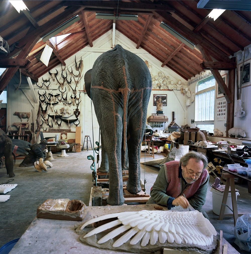 Pierre-Yves Renkin dans son atelier. Photo: Marie-Françoise Plissart