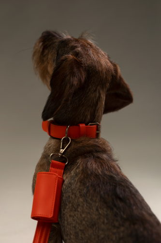 Mieke Dierckx_Amigo Collectie_Halsband S_45€ (12)