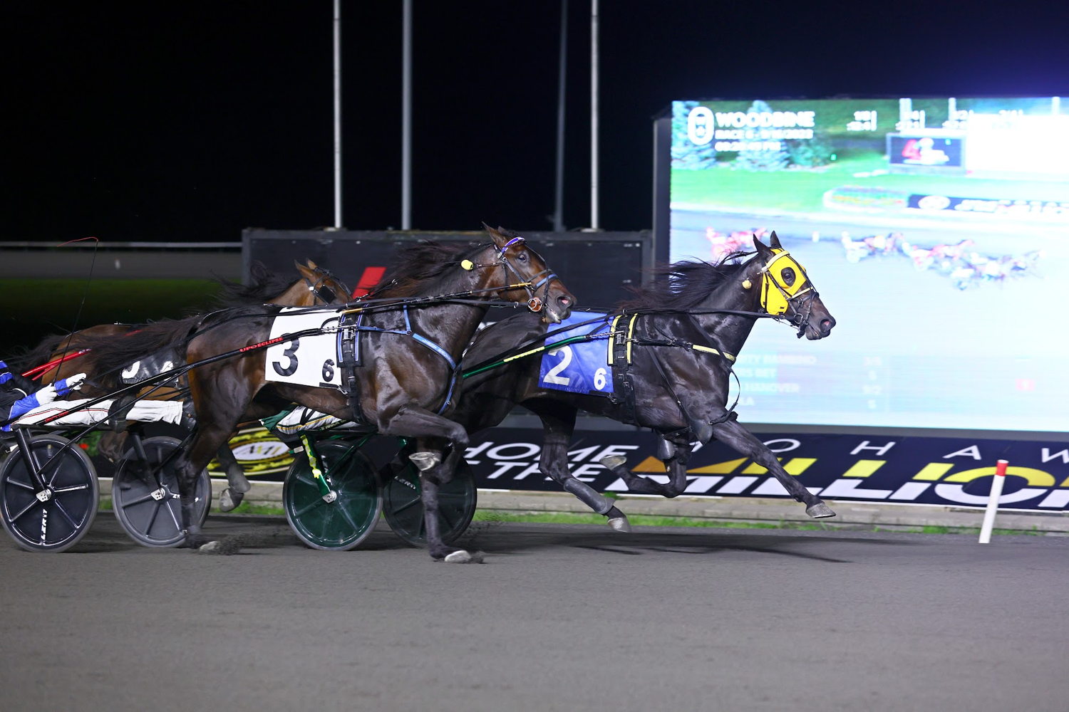 Celebrity Bambino winning an elimination of the Canadian Trotting Classic. (New Image Media)