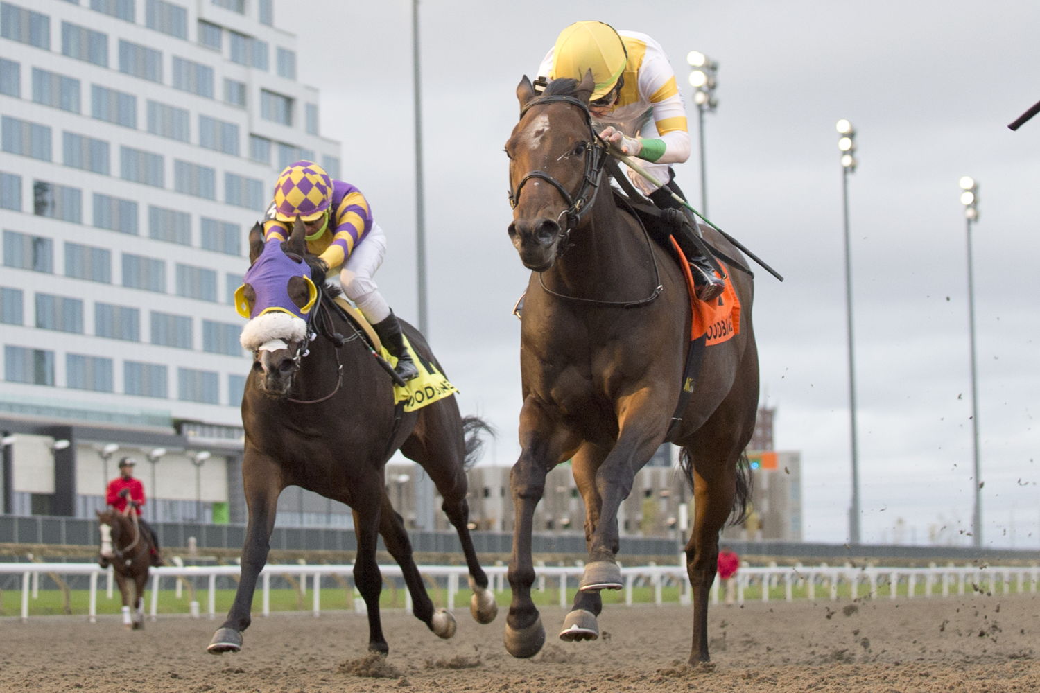 Touch'n Ride and jockey Kazushi Kimura winning the Ontario Derby on October 21, 2023 at Woodbine (Michael Burns Photo)