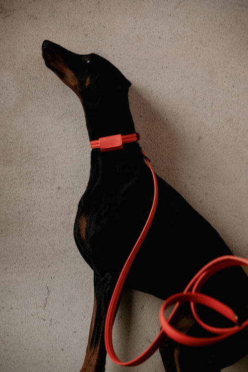 Mieke Dierckx_Amigo Collectie_Leiband M_99€ (1)