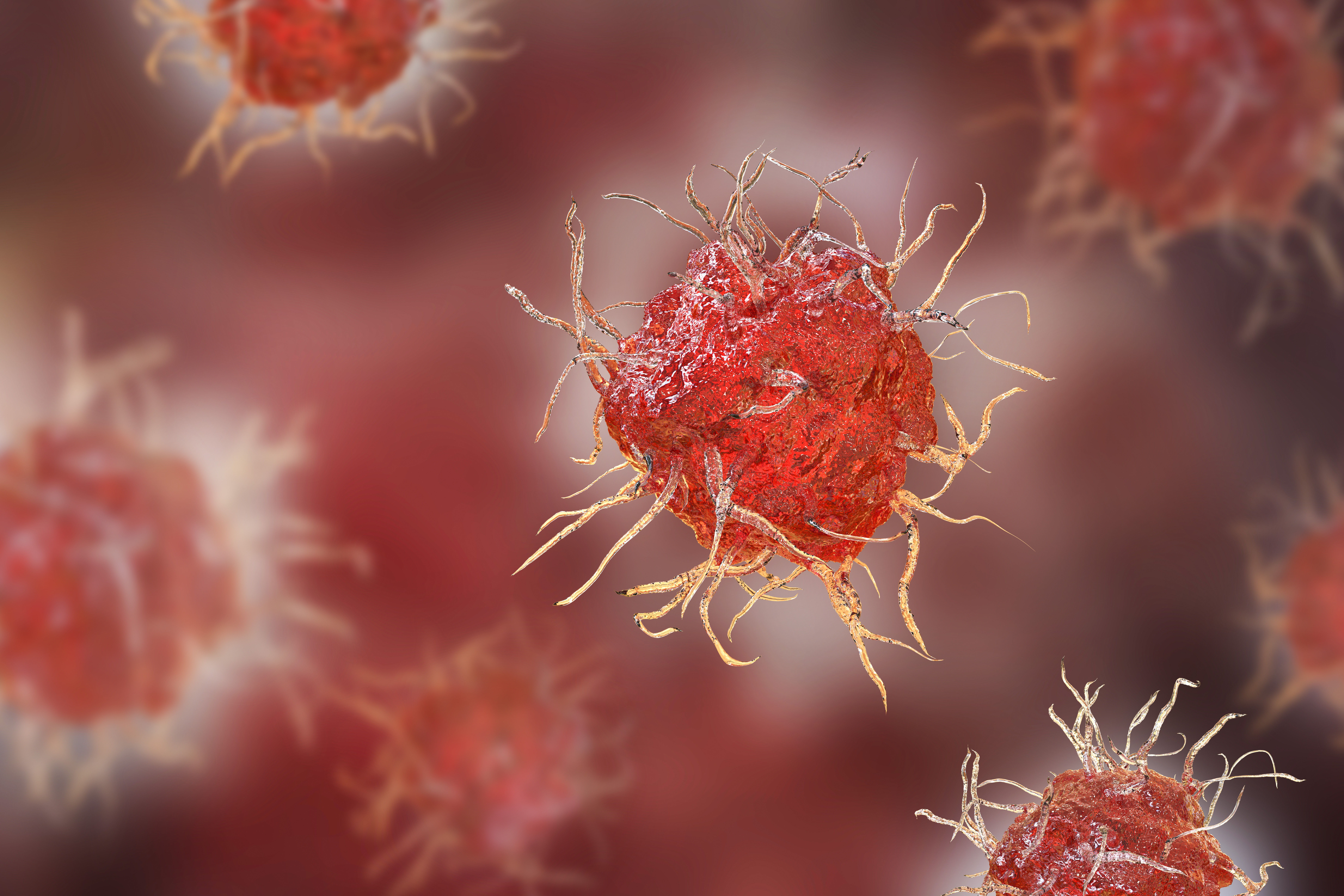 Illustration of a dendritic cell, an immune cell that presents antigens to T cells.