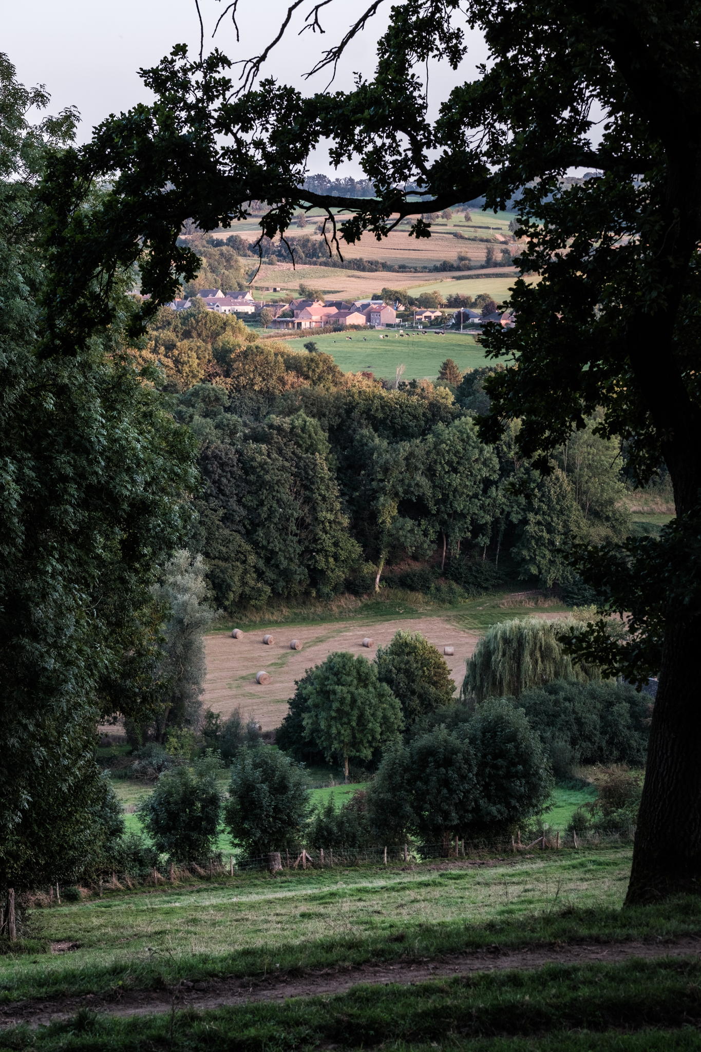 Het landschap bestaat uit een heuvelachtig lappendeken van lijnvormige elementen, afgewisseld met boomgaarden, oude bossen, snelstromende beken en talloze erfgoedrelicten ​
-Landschapsparken-