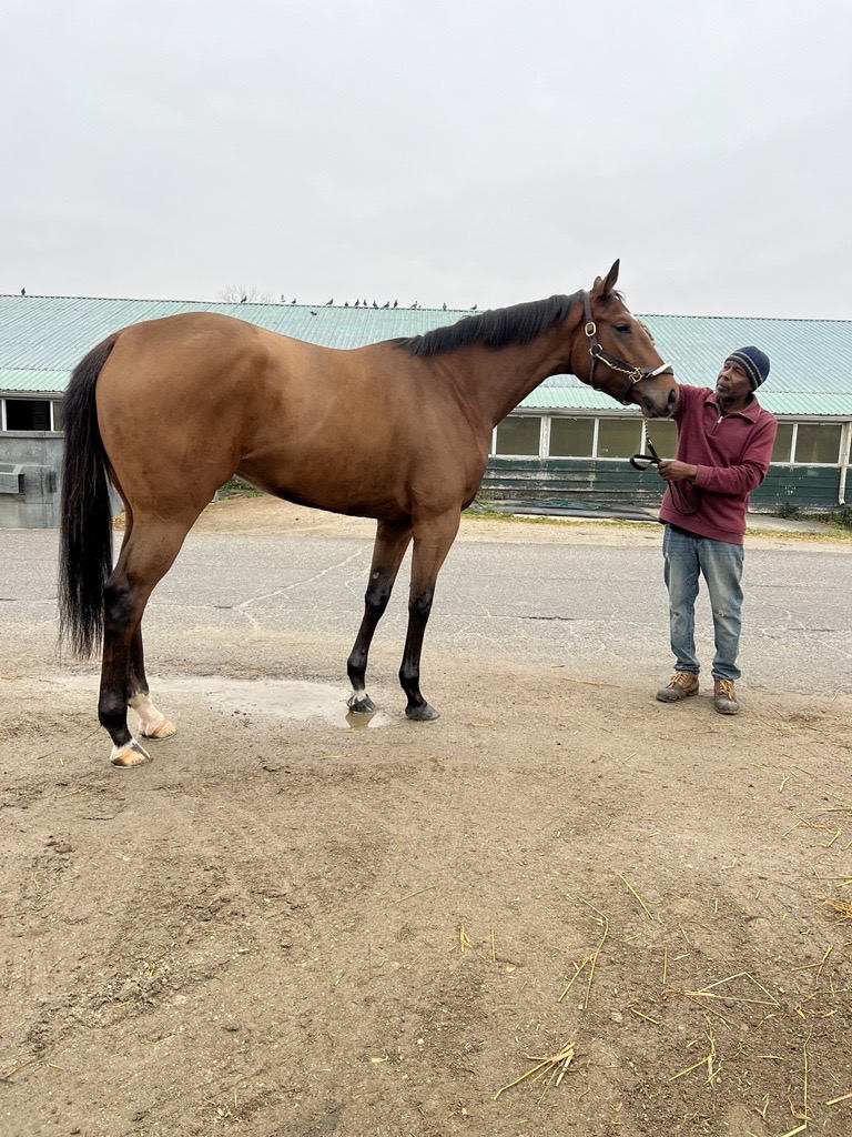 Miss Pierre and her groom, Meverton Donaldson