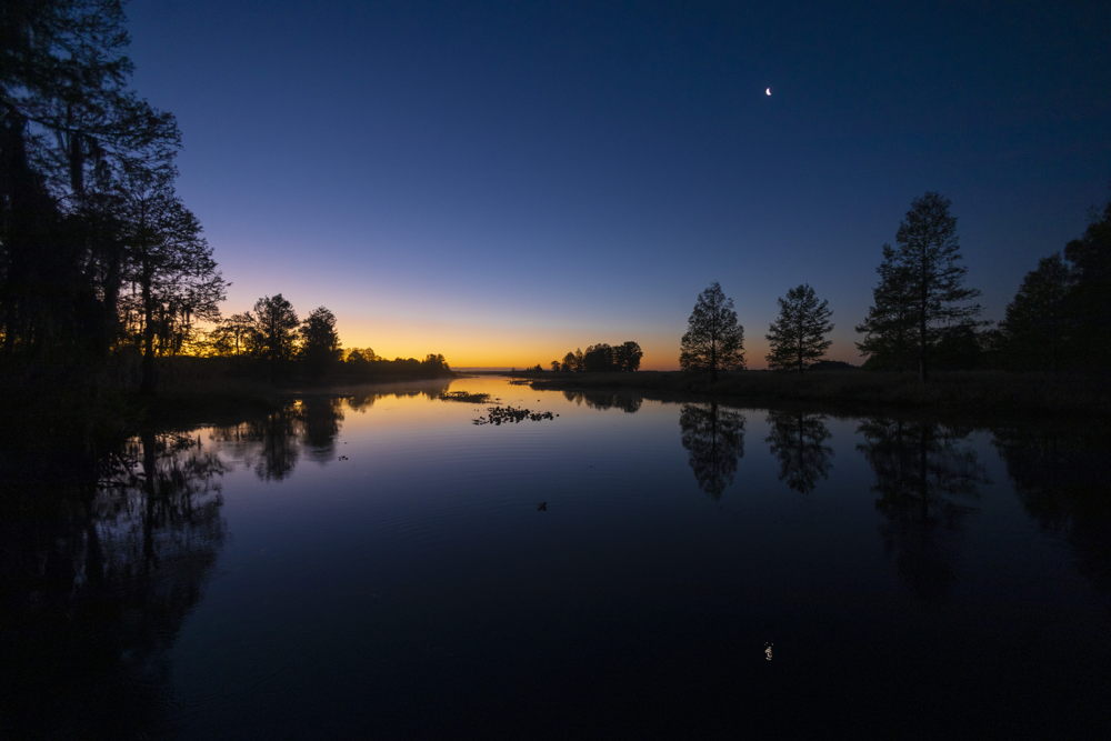 Amanecer en Lago Cypress - Wild Florida / ©Rikky.Azarcoya