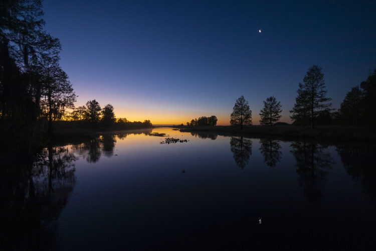 Amanecer en Lago Cypress - Wild Florida / ©Rikky.Azarcoya