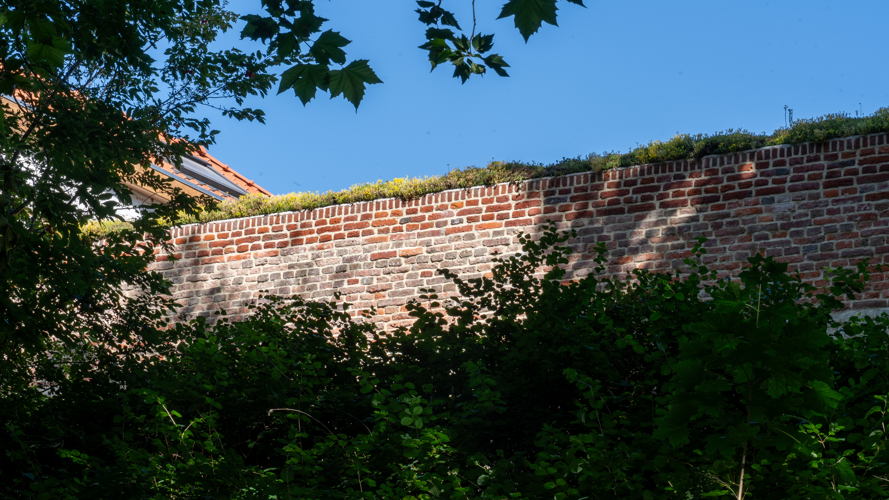 De begroeiing van verschillende soorten sedum beschermt het metselwerk 