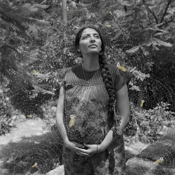 Sony World Photography Awards 2026: Overall Winners Announced