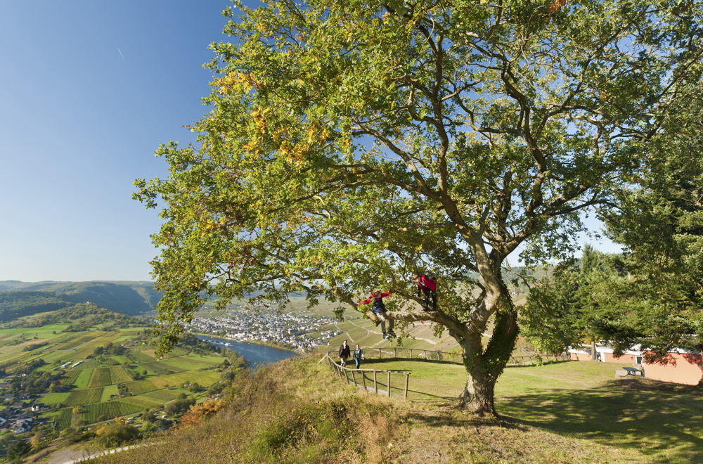 Uitzicht Landal MontRoyal