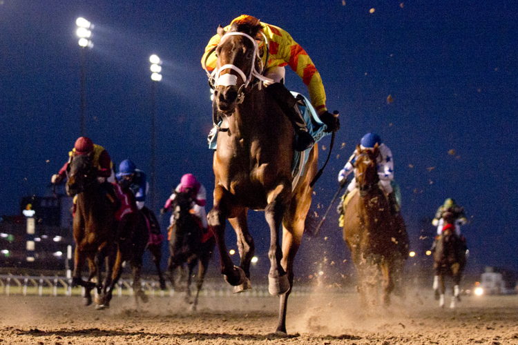 Induation and jockey Leo Salles winning the Princess Elizabeth Stakes on November 25, 2023 at Woodbine (Michael Burns Photo)