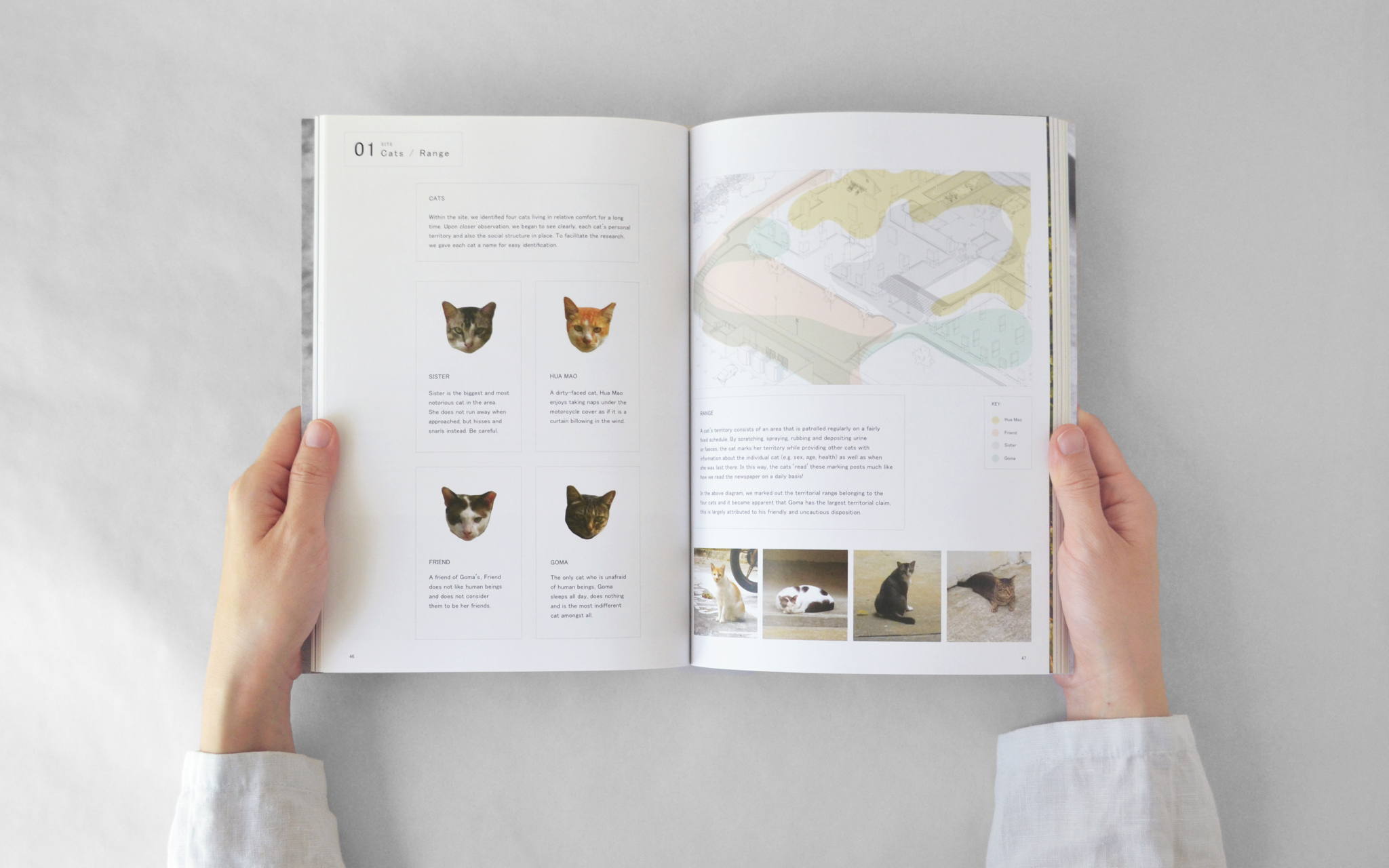 Image credit: Atelier HOKO