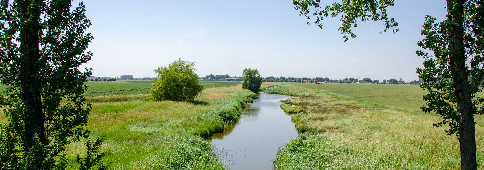 Webinar 11 december: kom te weten hoe andere landen hun waterkwaliteit verbeteren