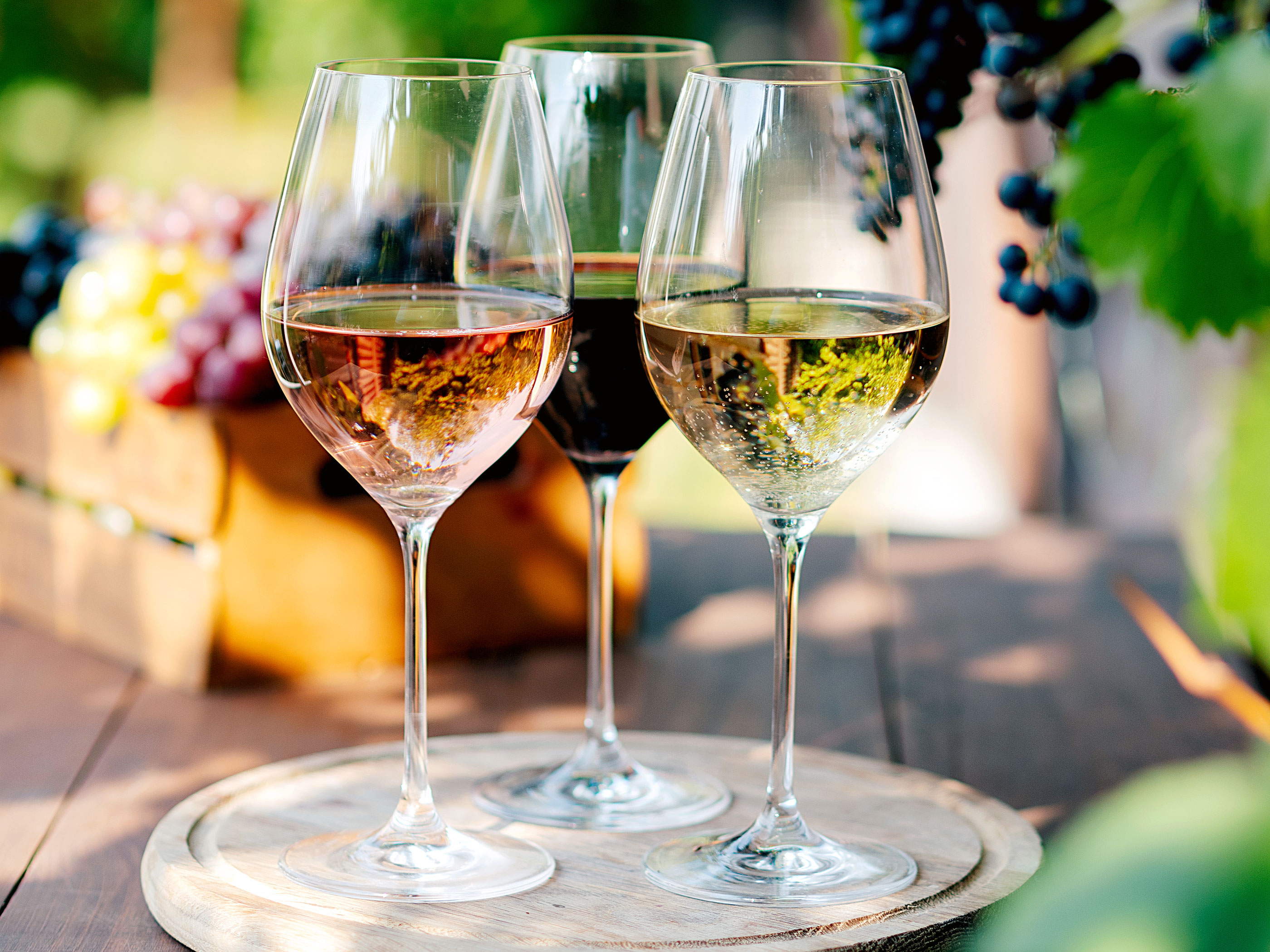 ALDI trinque au printemps avec des vins printaniers à partir de 4,29 €