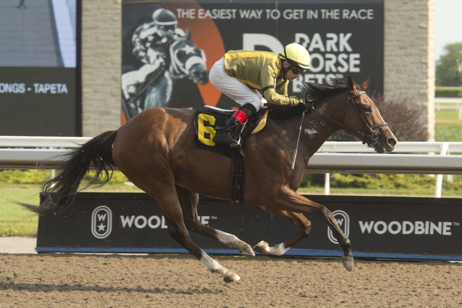 Mike Doyle trainee Captivating Art winning on June 30. (Michael Burns)