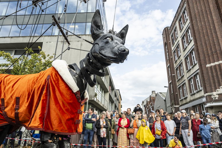 Reuzen zaterdag 26 augustus © Sigrid Spinnox