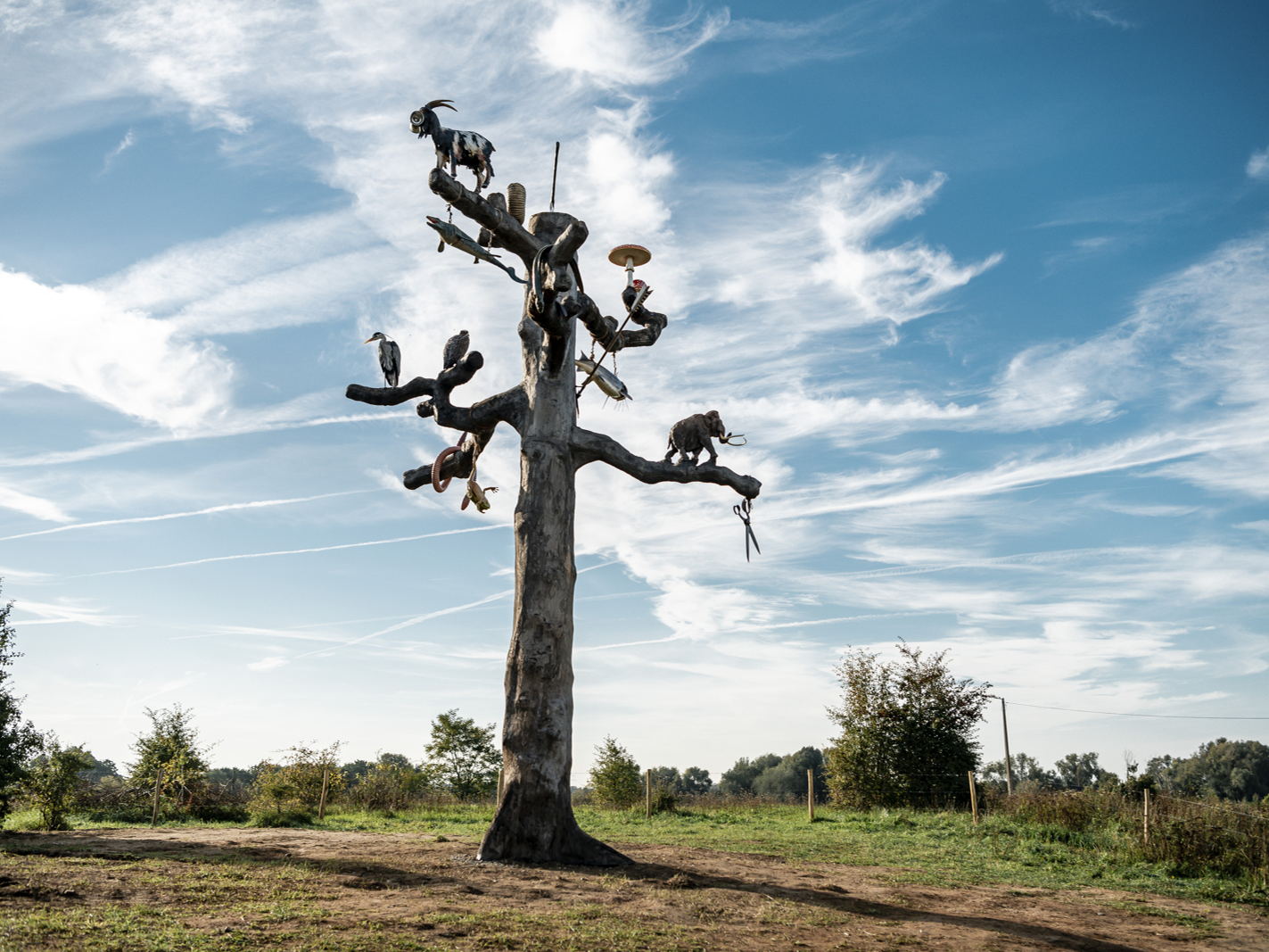 Kunst an der Maas präsentiert Baum des Lebens in Lanaken