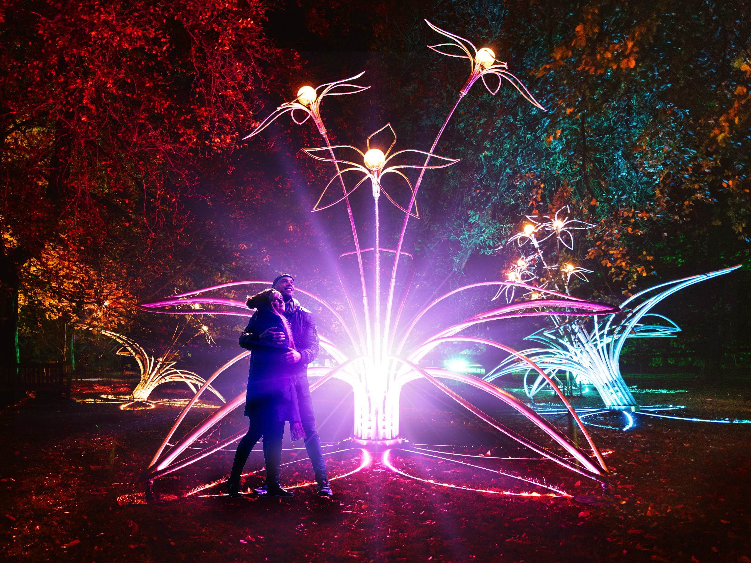 Hilton Melbourne Little Queen Street Partners With Royal Botanic Gardens’ Show Lightscape To Offer A Magical Winter Package
