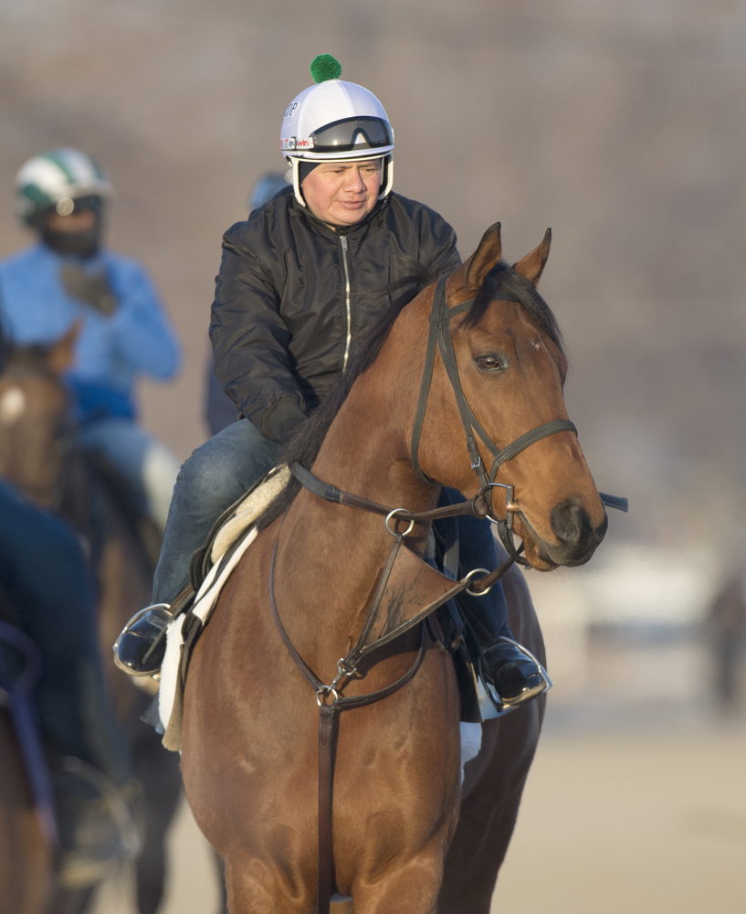 Rapid Test and Danny Hernandez 
