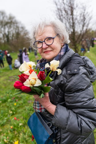 Tulpenpluk © Wim Hadermann