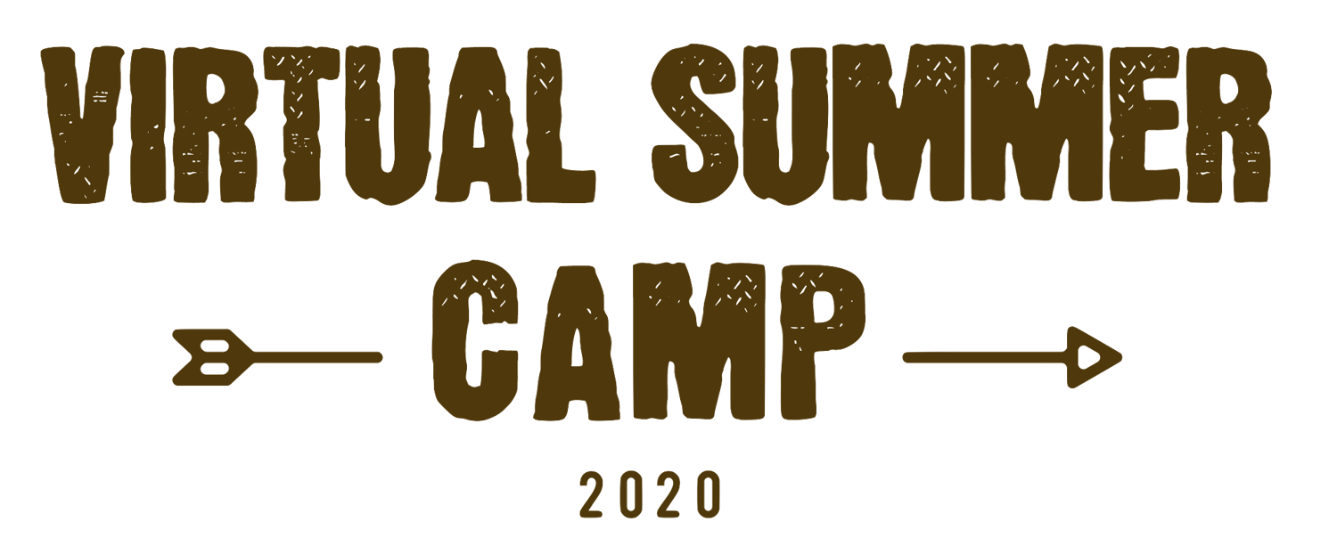 Nepris offers Virtual Summer Camps to let students explore careers and meet people working in those fields. Activities and Live Interactive Chats for $20/week.