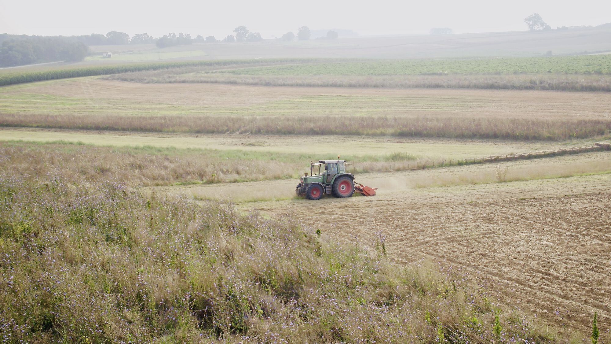 Grond voor samenwerking 