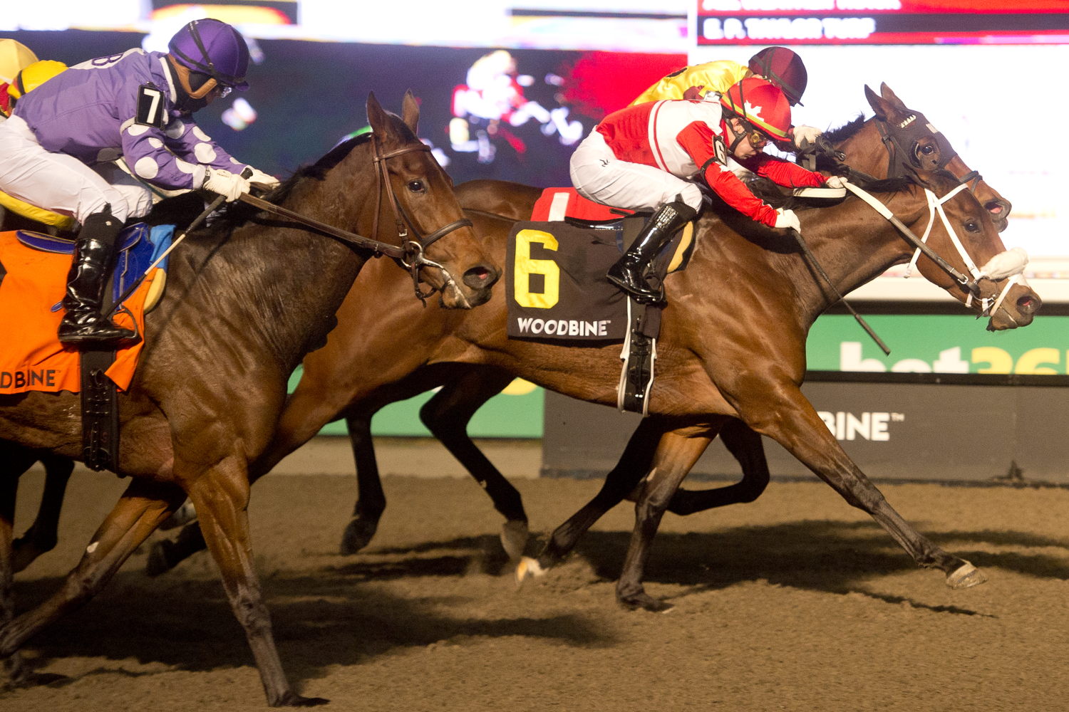 War Painter and jockey Fraser Aebly winning the Ashbridges Bay Stakes on November 17, 2024 at Woodbine (Michael Burns Photo)