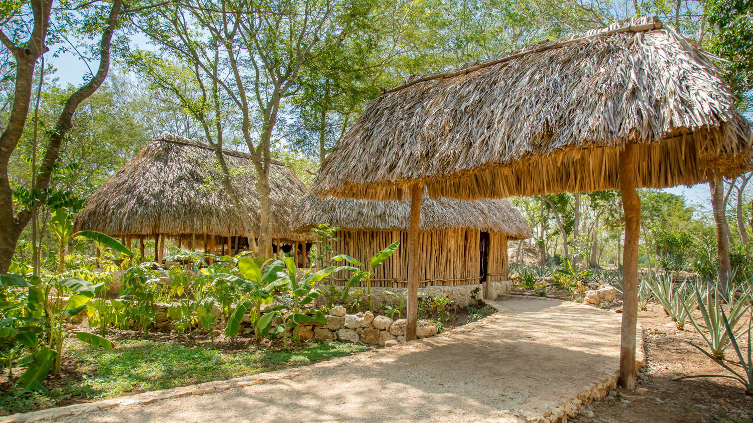 Casita Maya_Chablé Yucatán 