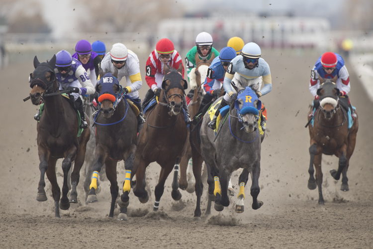 Closing day at Woodbine (Michael Burns Photo)