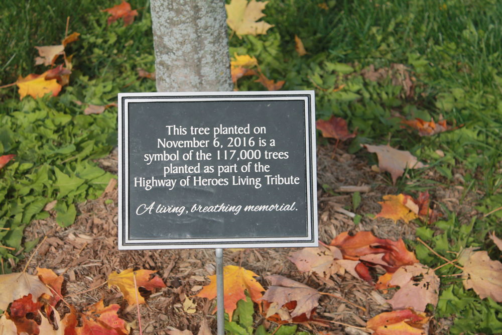 HOH Tree Campaign plaque - Nov 4 - Bain Park, Trenton