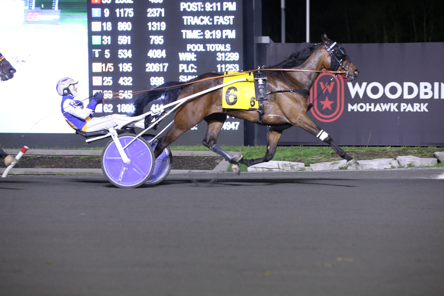 Dealin with Dewey and driver Louis-Philippe Roy winning Race 6 at Woodbine Mohawk Park on April 29, 2024 (New Image Media)