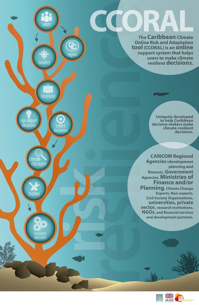 CCORAL Infographic