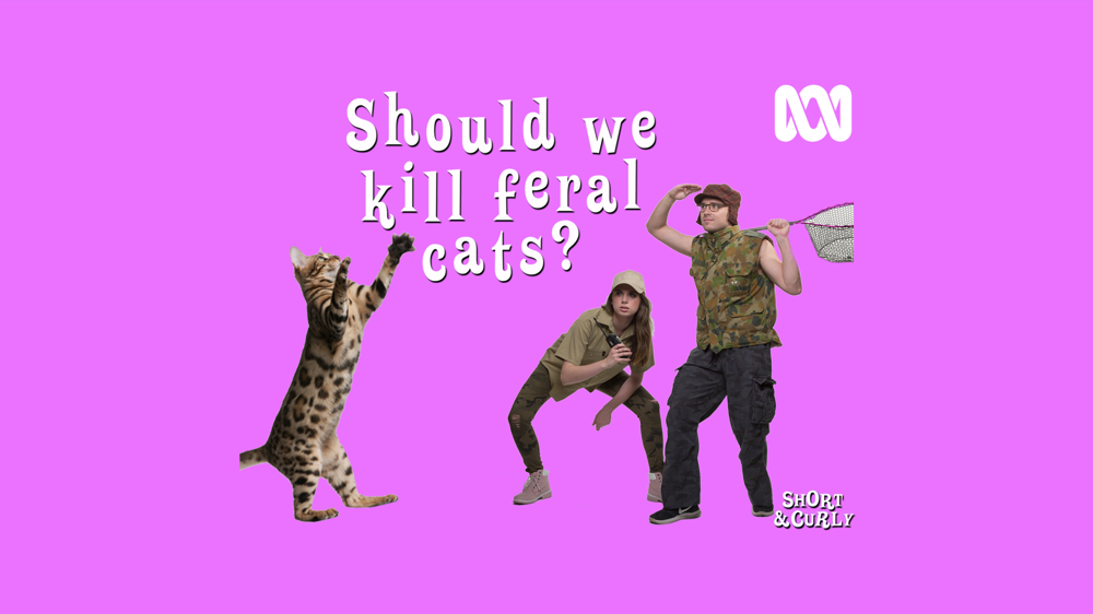 Should we kill feral cats? RC