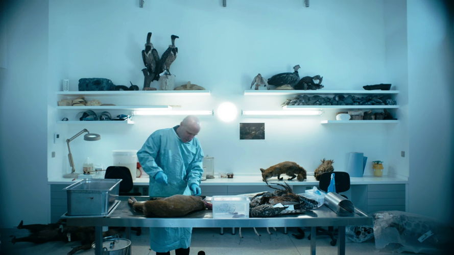 De zoekende mens - Wim Wouters dissecteert