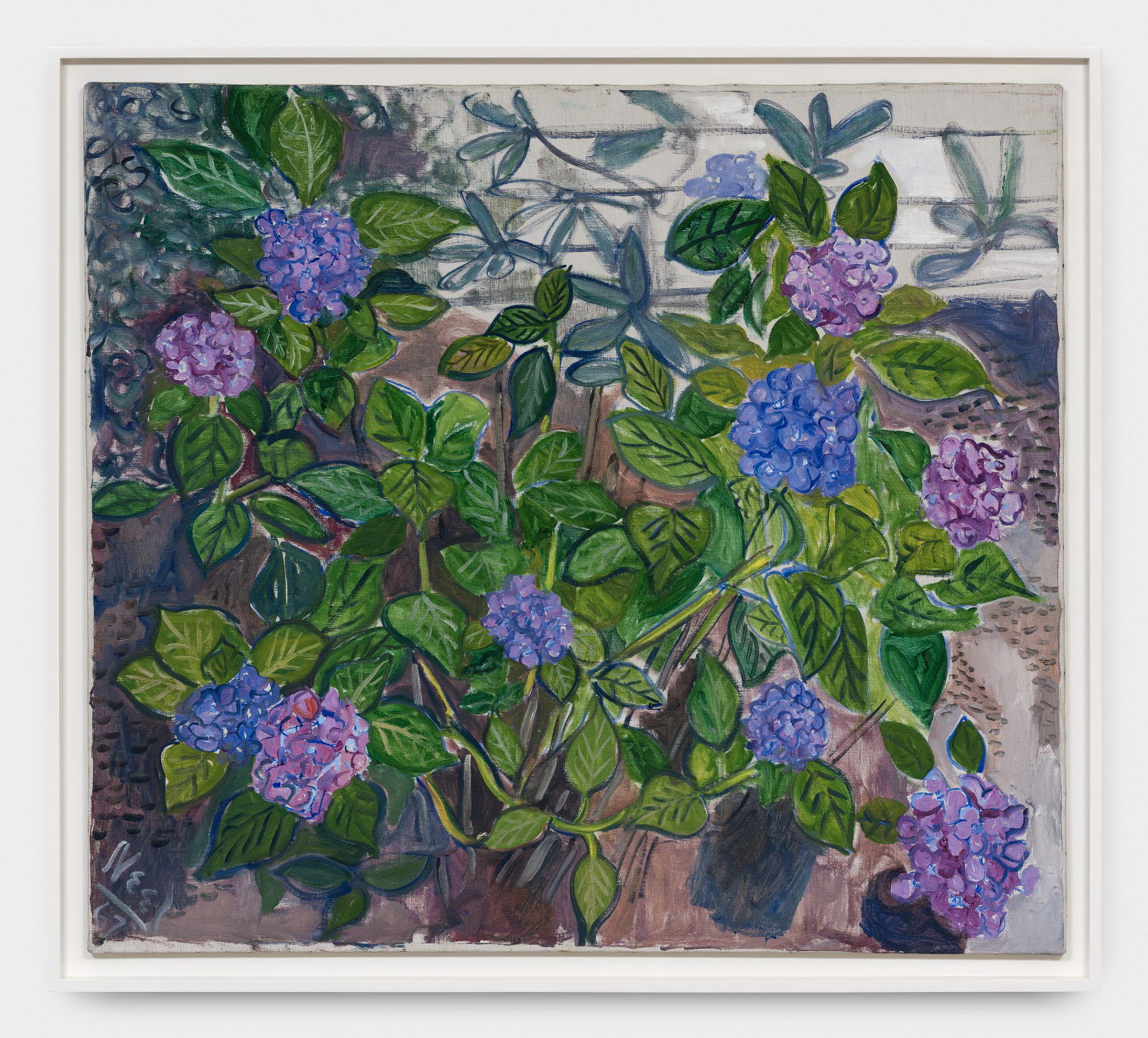 Alice Neel (1900-1984) Hydrangeas, 1967. Oil on canvas. 101,6 x 114,3 cm. Photo-credit: HV-studio, Brussels Courtesy: the Estate of Alice Neel and Xavier Hufkens, Brussels